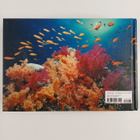 Jeffrey L. Rotman : Underwater Eden - 365 Days - pikkukuva 2