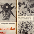Aitta n:o 2 1962 Kaunissaari. Kirpputori. Vaakunanveistäjä - pikkukuva 2