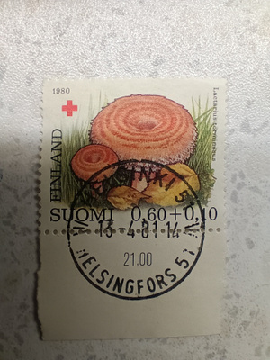 Postimerkki Punainen Risti loistoleima