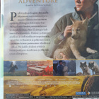 Viimeinen susi - Ohjaus: Jean-Jacques Annaud - pikkukuva 2