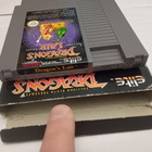 Nes Dragon's Lair Scn Cib - pikkukuva 4