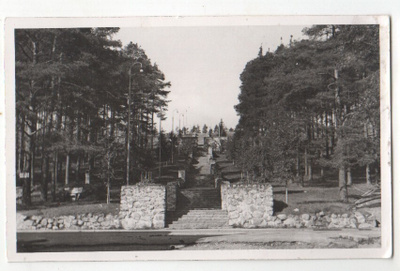 Jyväskylä harjun portaat (3)