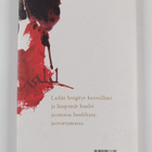 Jaakko Hämeen-Anttila : Tarina hullusta rakastajasta ja m... - pikkukuva 2
