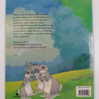Lucy Kincaid : Lohikäärmeen piilopaikka - pikkukuva 2