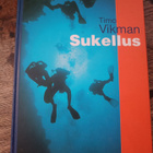 Timo Vikman: Sukellus - pikkukuva 1