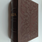 Biblia : Se on : Coco Pyhä Ramattu Suomexi : Pääramattuin... - pikkukuva 1