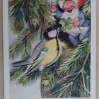 Tonttu skoolaa talitintin kanssa kuusenoksilla, k.k-k 1948 - pikkukuva 1