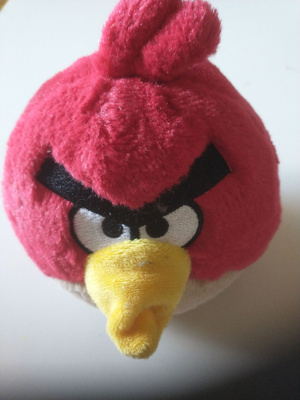 Angry bird's