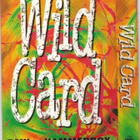 KASETTI PROMO Paw, Hammerbox, Monster Magnet - Wild Card - pikkukuva 2