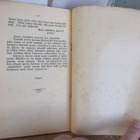 Lodbrok: Saarnaajan viekkautta, Andersin 1913. 2p. 32 s. - pikkukuva 4