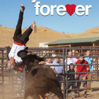 jackass forever (75 460) UUSI -FI- DVD nordic, johnny knoxv - pikkukuva 2