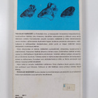 Lauri Siivonen : Pohjolan nisäkkäät = (Mammals of Norther... - pikkukuva 2