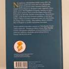 Taavi Vartia : Viikinkipoika Kaspar II : Sininen viikinki... - pikkukuva 2