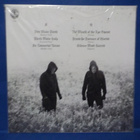 AETHYRICK - SOLSTICE CYCLE M-/M- LP - pikkukuva 2