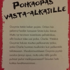 Chase: GIRL:IT - Poikaopas vasta-alkajalle - pikkukuva 3