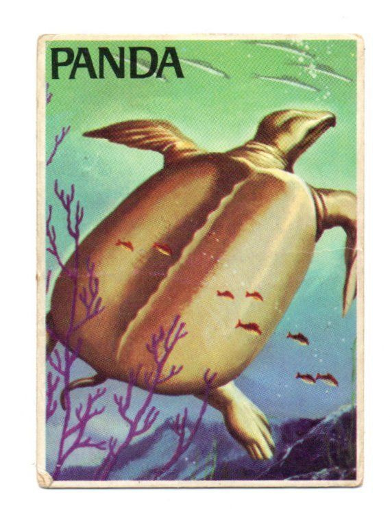 Purkkakuva Panda n:o 11 MEREN SALAISUUDET
