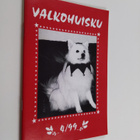 Satu (toim.) Taskinen : Valkohuisku 4/99 - pikkukuva 1