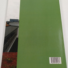 Pihan yleinen rakentamistapaohje 2011 - pikkukuva 2