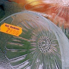 Carnation iso lasi kulho käyttämätön - pikkukuva 3