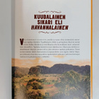 Ilpo Koskela "Paholaisen kuiskaus" - pikkukuva 4