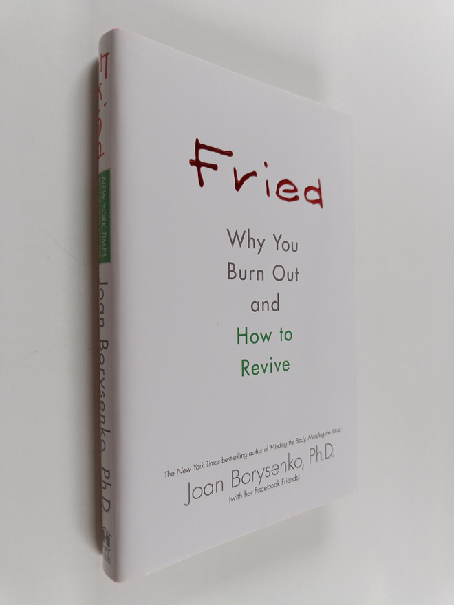 Joan Borysenko : Fried : Why You Burn Out and how to Revive
