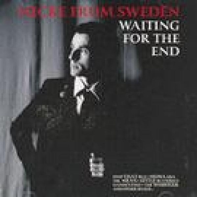 Micke From Sweden (Atomic Swing) - Waiting For The End (CD)