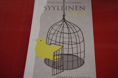 Valtavaara: Syyllinen olo syystä vai suotta? (2014)