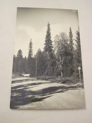 VANHA Postikortti Lappi 1950-l Alkup.Mallikappale