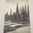 VANHA Postikortti Lappi 1950-l Alkup.Mallikappale - pikkukuva 1