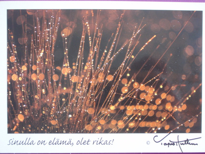 Sinulla on elämä, olet rikas !