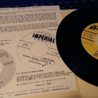 Junior Shank / Jimmie Maddin sinkku - pikkukuva 2