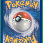 Pokémon Solid Rage - pikkukuva 2