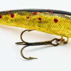 Jesse vaappu, Jaakko Huhti, 7.5cm, 7.1g - pikkukuva 2