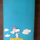 Charles M. Schultz: Varo laakapalloa, Jaska Jokunen - pikkukuva 2