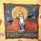 Tilkkutyökangas 110x105cm - pikkukuva 2