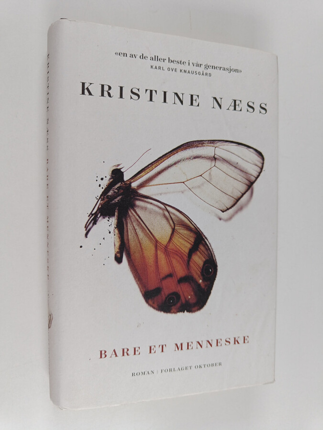 Kristine Naess : Bare et menneske : roman