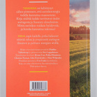 Bruno Erat : Aurinkoenergia Suomessa - pikkukuva 2