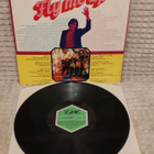 Peter Sunday And His Birds Of Fire Fly Me Up lp - pikkukuva 1