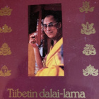 DALAILAMA: VIISAUDEN VALTAMERI - pikkukuva 1