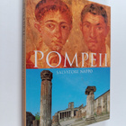 Salvatore Nappo : Pompeii - Guide to the Lost City - pikkukuva 1