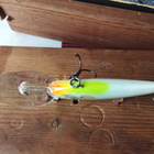 Bagley Balsa Shad 7cm - pikkukuva 4