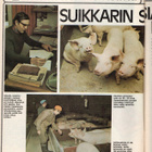 Pellervo n:o 7 1975 Eeva & Pekka. Tammela. Kihniö. Niskavuo - pikkukuva 2