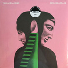 Teenage Fanclub – Endless Arcade - pikkukuva 1