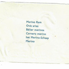 ALE - M.P. 890 - Nelkku - Merino pässi - 1950-luv. - pikkukuva 2