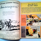 PECOS BILL 11/1955: Keltaiset varjot - pikkukuva 2