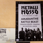 Peruslippu Metallimössö Lahden Messukeskus 7.11.2026 - pikkukuva 1