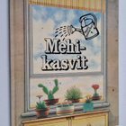 Sue Tarsky : Mehikasvit - pikkukuva 1