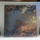 BL ' AST ! - BLOOD ! US 2003 - M-/M- LP - pikkukuva 2