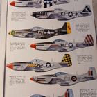 Mustang P-51 - pikkukuva 2