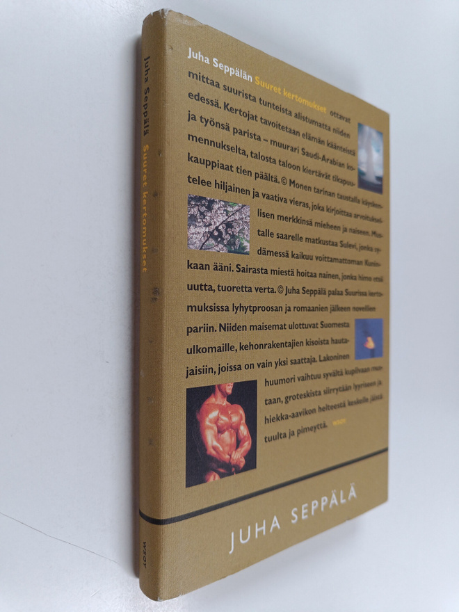 Juha Seppälä : Suuret kertomukset